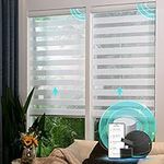 CITOLEN Motorized Blinds with Integ