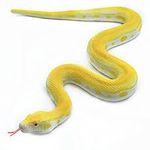 SIENON Realistic Fake Snakes Toy So