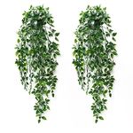 Dremisland 2Pcs Artificial Hanging Plants-Artificial Hanging Plants Potted Greenery Decor-Eucalyptus Mandala Snow Pea Vine in Pot Plants for Office Farmhouse Home Indoor Outdoor Decor