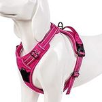 WINHYEPET True Love Dog Harness, No-Pull Reflective Pet Harness with 2 Leash Clips Adjustable Soft Padded Dog Vest with Easy Control Handle for Small Medium Large Dog TLH5651(Fushcia,S)