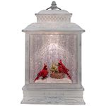 DEMDACO Whitewash Red Cardinal Scene 10.5 x 6.5 Resin Decorative Tabletop Snow Water Globe Lantern