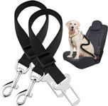 Dog Car Restraint System