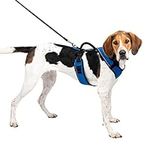 PetSafe EasySport Dog Harness, Adju