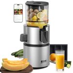 Anybear Cold Press Juicer, 350W Juicer Machine with 4.9" Large Feed Chute, Slow Masticating Juicer for Whole Fruits & Vegetables, High Juice Yield, BPA-Free Tritan, Juice Recipes (Silver)