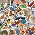 100PCS Cute Animal Stickers, Realistic Animals Aesthetic Decals Vinyl Waterproof Zoo Animals Stickers for Water Bottle Laptop Luggage Helmet Skateboard Snowboard Guitar Scrapbook Phone Gifts