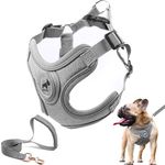 SAEGYPET Dog Harness with Leash Set, No Pull Adjustable Step in Dog Collars Harness with Breathable Padded Puppy Harness for Small Medium Large Dogs Training and Running (Gray_1, S) (Gray, S)