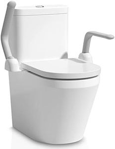 DAILYLIFE Toilet Safety Rail, Heavy Duty (480 LB) Armrest Hand Rail, Can be Folded Up, Aluminum Alloy Support for Elderly Senior Handicap Pregnant