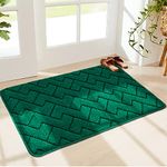 Walensee Indoor Doormat, Front Door Mat for Entrance (50×80cm Green) Machine Washable Entryway Rug, Non Slip Trapper Door Rugs Absorbent Dirt Low Profile Shoes Scraper Inside Floor Mats for Entry…