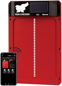 RUN-CHICKE