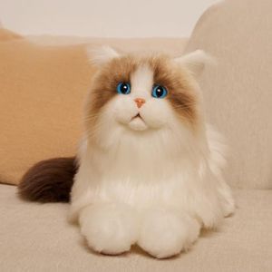 Chongker Weighted Stuffed Animals,Handmade Realistic Cat Plush Toy 4.5LBS,Lifelike Real Cat Size Companion Pet, Ragdoll Cat