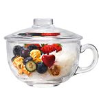 Glass Cereal Bowl Clear Soup Pasta Noodles Salad Bowl with Lid Handle Breakfast Milk Cups Mixing Nut Oatmeal Tempered Glass Microwave Safe Liquid Bowl for Snack Ice Cream Coffee,600ML