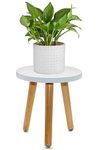 ARTORA Wood Plant Stand, Modern Plant holder Small Flower Pot Stool Decorative Planter Stand for Indoor Plants