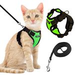 Cat Harnesses For Large Cats