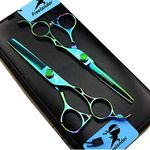 6.0" Professional Japan 440C Hair Cutting Shears - Salon Hair Blending/Thinning/Texturizing Scissor for Barber or Home Use