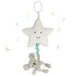 Blublu Park Baby Hanging Musical Toy with Music Box, Baby Lullaby Pull Musical Sensory Toys for Babies Boys and Girls, Clip On Baby Pram Pushchair Cribs Strollers Car Seats Toys, Star