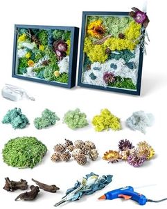 KRAFTSTORIES DIY Moss Wall Art Kit with 2 Black Frames | Preserved Moss | No Maintenance Required | Craft Activity for Adults | Moss Wall Home Decor | Make Your Own Moss Art (Set of 2 Black Frames)