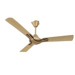 Havells Nicola 1200mm High Performance at Low Voltage (HPLV) Ceiling Fan (Bronze Copper, Pack of 2)