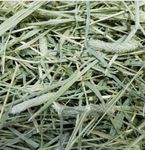 Timothy HAY for Rabbits (1 KG), Guinea Pigs, Rats, Hamsters and Other Small Animals. (HIGH-Fiber HAY