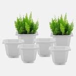 YUCCABE ITALIA SHERA Octa Square 8 Inch Planter 6 Pices Set of Plastic Flower Pot Suitable for Indoor and Outdoor Garden Premium Lightweight Pot for Plants (White)