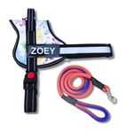 Pet King Personalized No-Pull Dog Harness with Leash – Custom Dog Name & Phone Number Adjustable Reflective Vest for All Breeds Size – Easy Control & Comfortable. (DOGCAT, M(13-19 KGs))