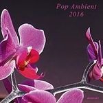 Pop Ambient 2016