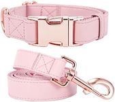 Dog Collar and Leash Set for Small,