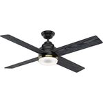 Casablanca Hunter Fan Company 59414 Casablanca 54" Daphne LED Light Kit and Wall Control Ceiling Fan, Matte Black Finish
