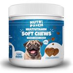 NutriPooch Multivitamins & Supplement for Dogs - Immunity Booster, With Minerals, Calcium & Iron - Enhance Skin & Heart Health - Blend of Probiotics - Beef Flavor Treats - 120 Soft Chews