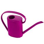 BKR Harden Plastic Just Like Metal Watering Can Capacity of 2 L (Multicolour)