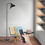 Feathmoo Floor Lamp with Remote Control, Minimalist Floor Reading Lamps for Living Room, 4 Colors Temperature Black Metal Gooseneck Standing Light Modern Industrial Tall Floor Lighting for Bedroom