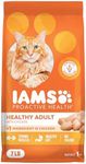 IAMS Proactive Health Adult Healthy