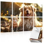 TONOR 8 Pack Art Acoustic Panel, Self-Adhesive Wall Panels, 48"X32" Sound Absorbing Panels, Decorative Soundproof Panels, Acoustic Treatment for Recording Studio, Office, Home, Cat and Dog