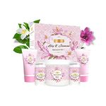 Richfeel Lily And Jasmine Bleach Kit-320gm