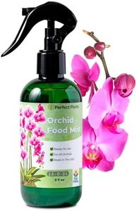 Orchid Fer