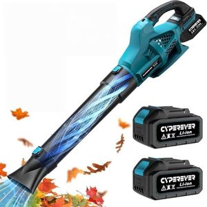 CyperEver 
