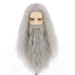 Topcosplay Wig and Beard Men's Long Grey Wig Cosplay Wizard Sorcerer Prophet Wig for Carnival Halloween Costume