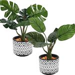 Artificial Plants in Boho Style Ceramic Pot, 2 Packs of 7" Tall Faux Potted Plants in Pot with Monstera and Palm Trees, Small Fake Plants with Pot for Indoor Home Office Bathroom Table Desk Decor