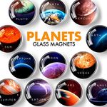 12 Fridge Magnets – Glass Decorative Magnets for Fridge – Succulent Refrigerator Magnets for Whiteboard, Kitchen and Office – Funny Inspirational Locker Magnets for Boys and Girls