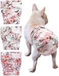 CuteBone Washable Dog Diapers Female No Tail Hole 3 Pack Reusable Doggie Period Training Pants for Docked-Tail Frenchie French Bulldog Boston Terrier Without Tail WWD30XL