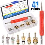 Glarks 41Pcs Car Air Conditioner Valve Core Schrader Valve Cores Accessories A/C R12 R134a Refrigeration Tire Valve Stem with Double Head Dual Dismantling Remover Installer Tool Assortment Kit