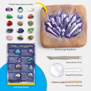 National Geographic Gemstone Dig Kit – Excavation Science Set for Kids