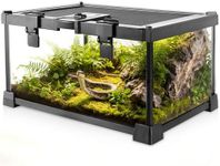 Mini Reptile Glass Terrarium Vivari