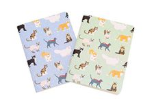 CGB Giftware | A6 Notebooks Set of 2 Cat Design | Best in Show | Lined Paper | Pocket Notebook | Handbag Jotter | Crazy Cat Lady | DES937