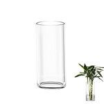 TSKDKIT Glass Vase for Flowers 20cm Glass Cylinder Vase Clear Vase for Living Room Modern Medium Vase 20 x 10cm