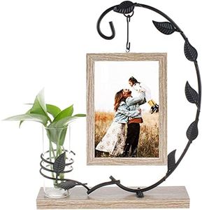 AIRFUL Cadre Photo en Fer Double Face avec 1 en Bois Vintage et 1 Bouteille en Verre Hydroponique, Cadre Photo à Suspendre pour Chambre à Coucher, Salon