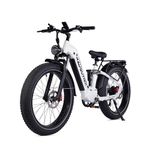 RZOGUWEX Electric Bicycle，26 Inch Off-Road EBIKE for Adults with 48V 25AH Detachable Lithium Ion Battery, 7 Speed with Dual Shock Absorbers and Dual Hydraulic Disc Brake(White)