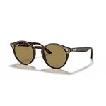 Ray-Ban Men's 0rb2180 Sunglasses, Havana/B-Classic Brown, 49