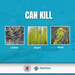 SmartSeal Deck Cleaner 5L – Concentrated Composite & Wood Algae Remover