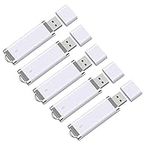 RAOYI 5 Pack 8GB USB Flash Drive Bulk Pack Memory Stick Thumb Drive 8G USB 2.0 Jump Drive Pen Lighter Shape, White