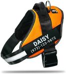 DOGGYKINGDOM Personalized No-Pull Dog Harness with Name Patch, Padded, Adjustable and Reflective Service Dog Vest, Easy On Dog Harnesses for Medium Large Small Sized Dog Orange, L